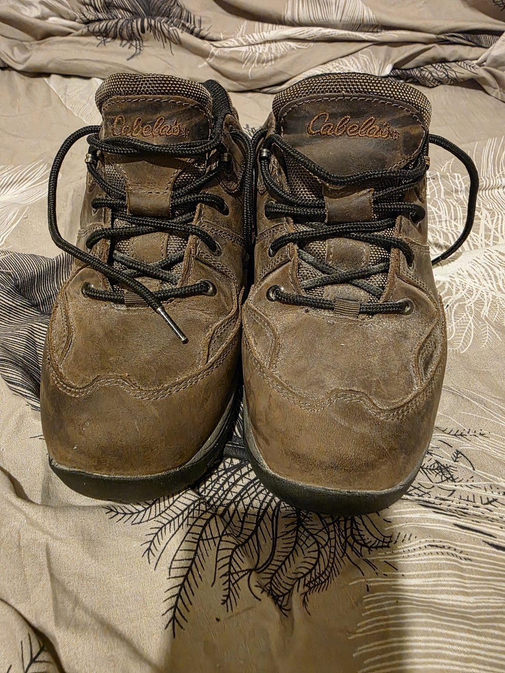 Cabela's Men's Brown Leather Hiking Boots
